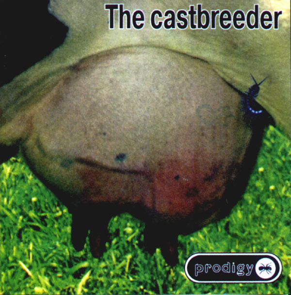 the prodigy discography wiki