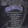 the_prodigy-flyer_198