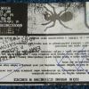 the_prodigy-ticket_10