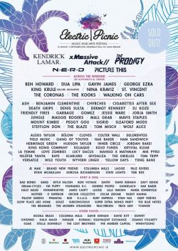 Electric Picnic Festival