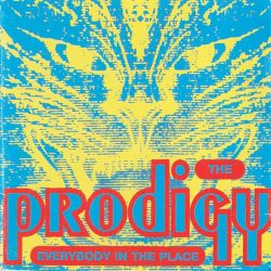 The Prodigy - Everybody In The Place / Selected Mixes