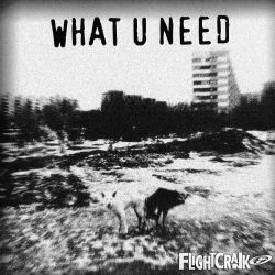 Flightcrank - What U Need